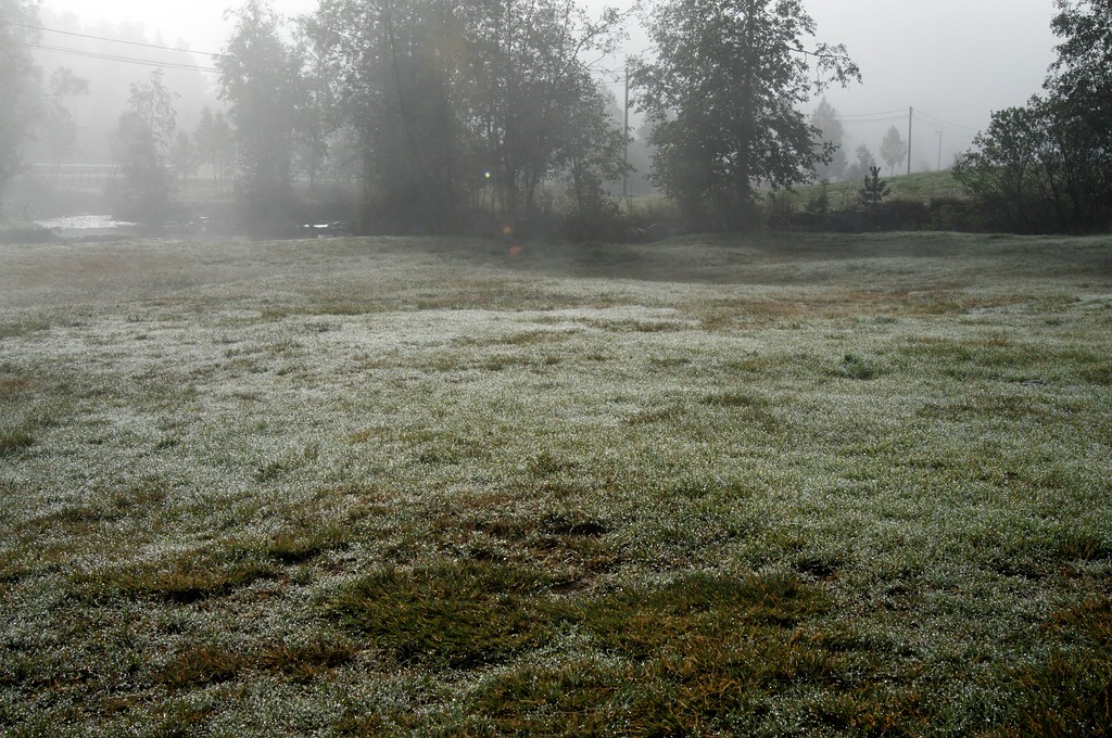Nebel 07