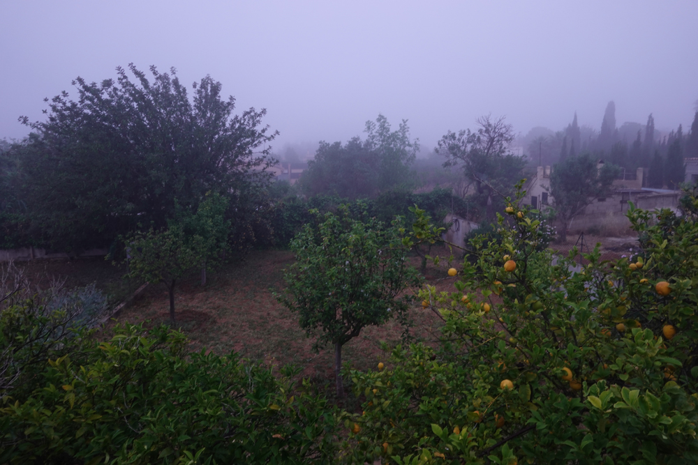 Nebel.1.jpg