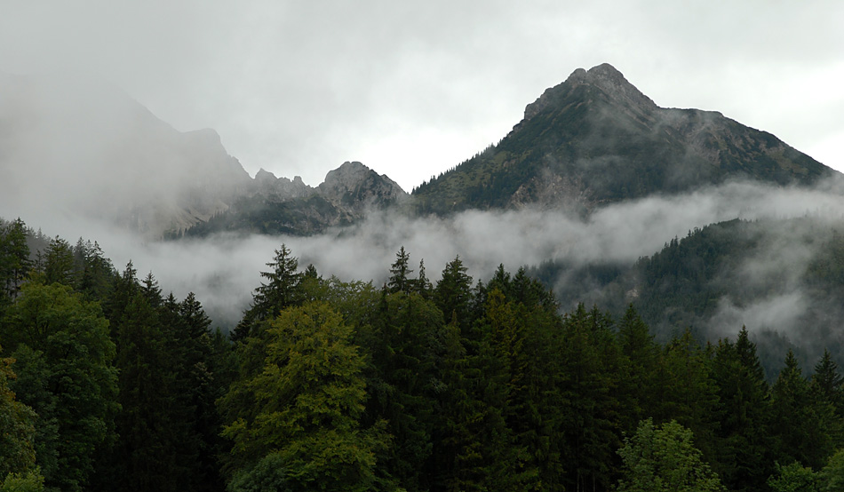nebel allgaeu