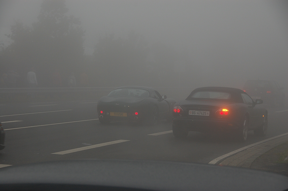 Nebel am Ring