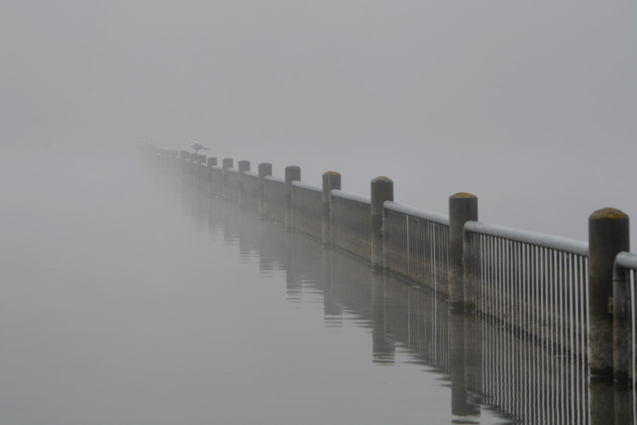 Nebel am Unisee 5916