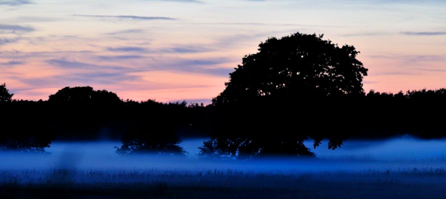 Nebel DSC 5547 01