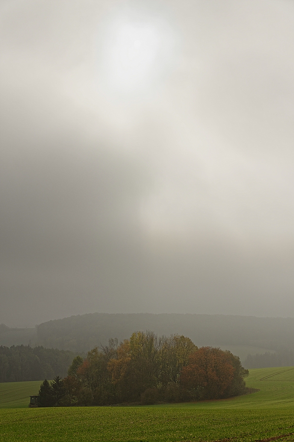 Nebel II