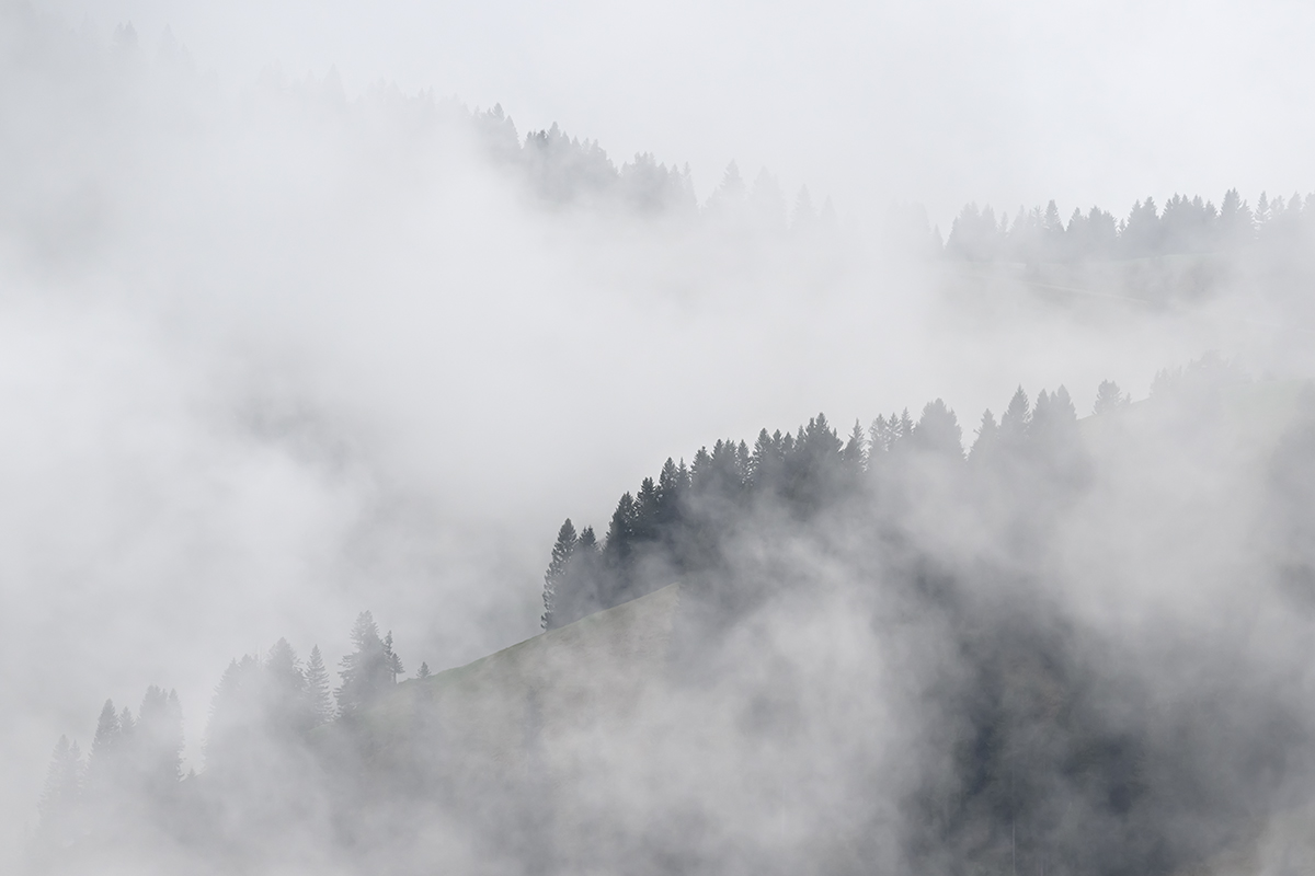 Nebel.jpg
