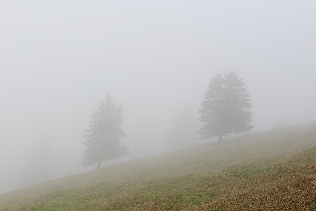 Nebel.jpg