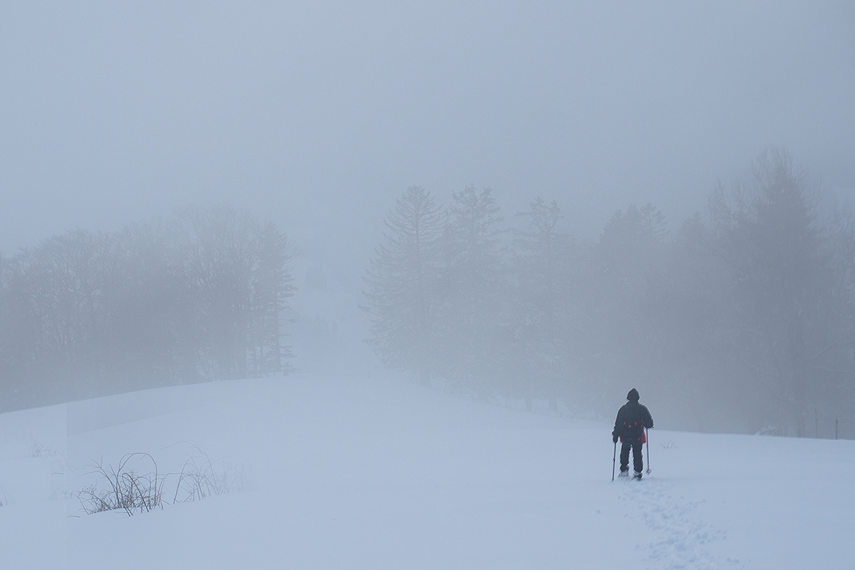 Nebel.jpg