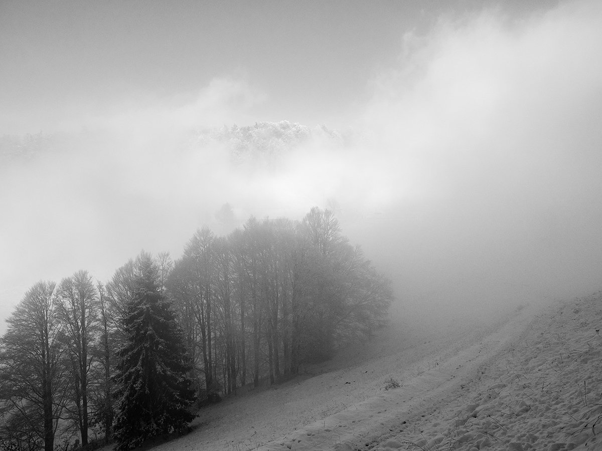 Nebel.jpg