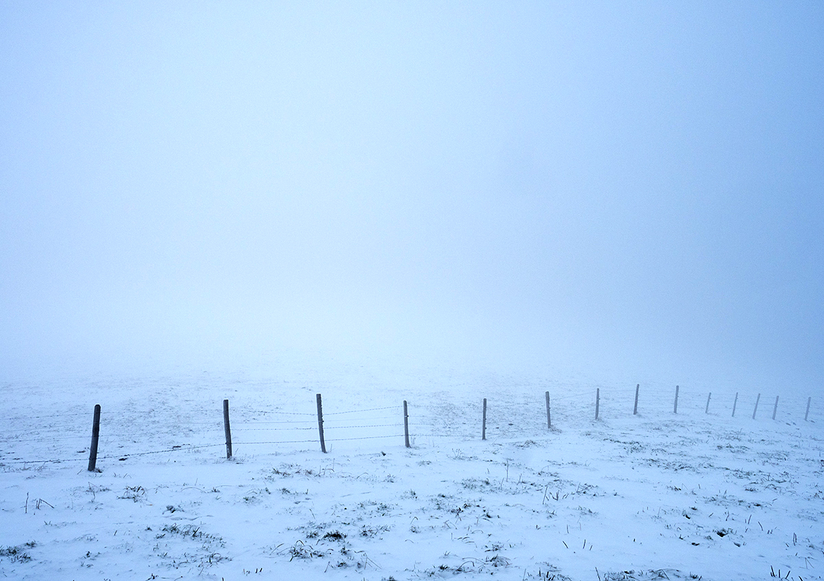 Nebel.jpg