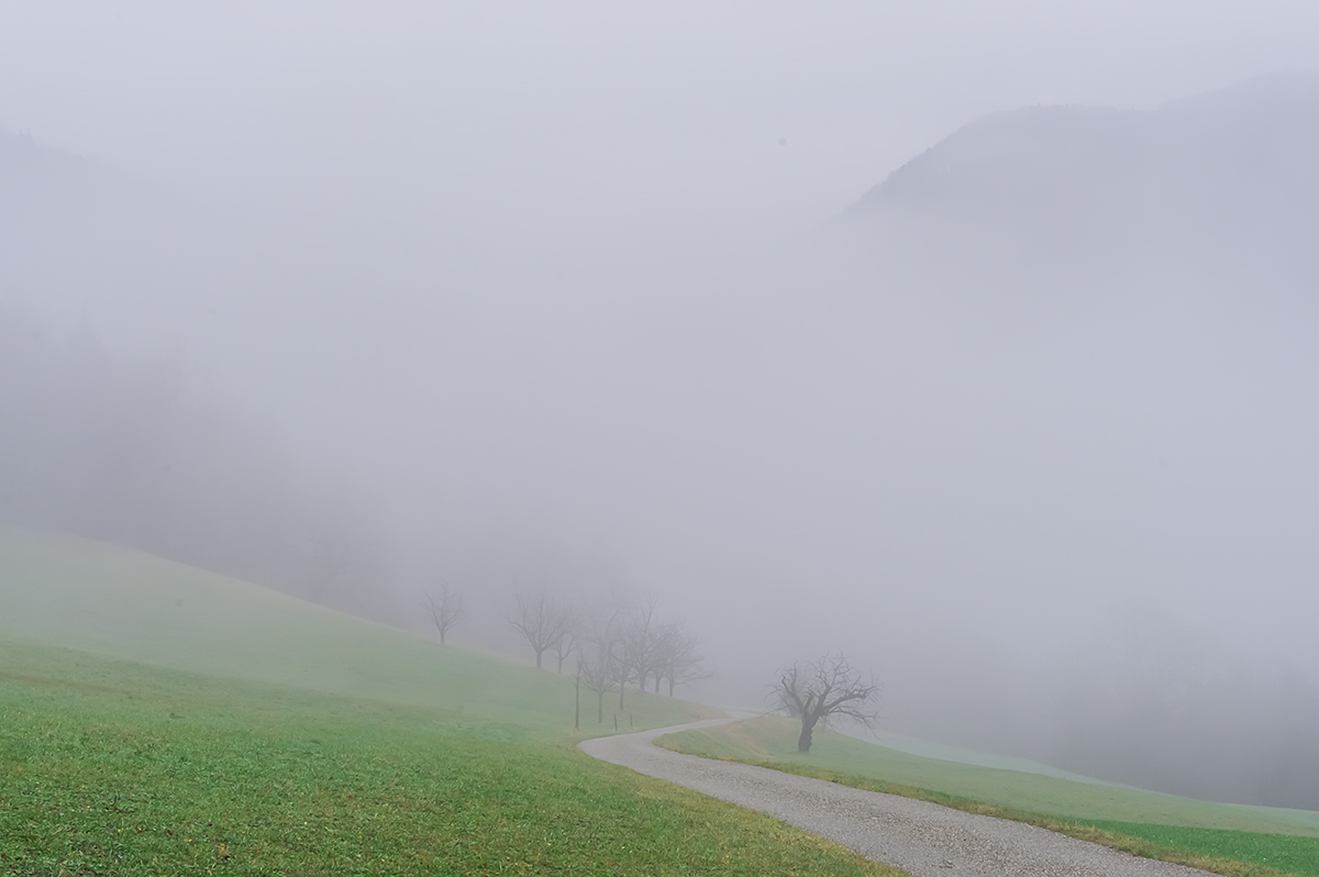Nebel.jpg