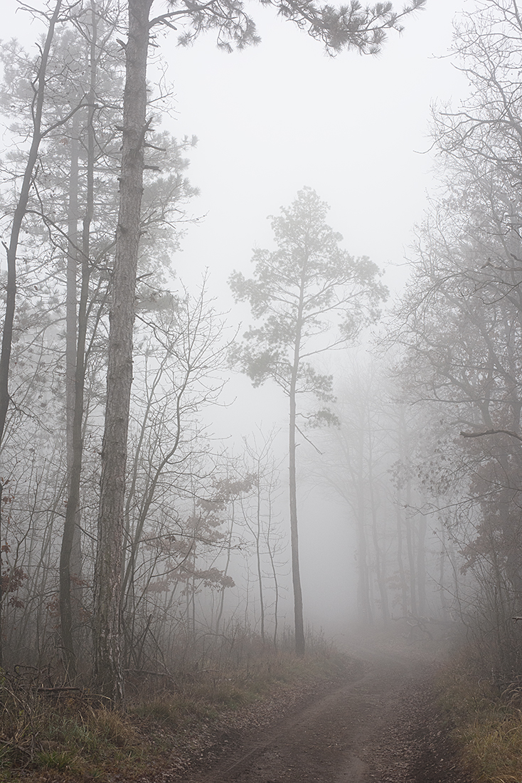 Nebel.jpg