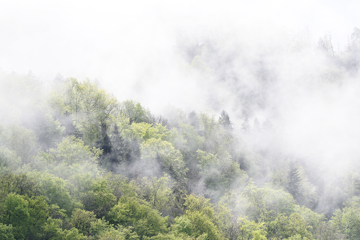 Nebel.jpg