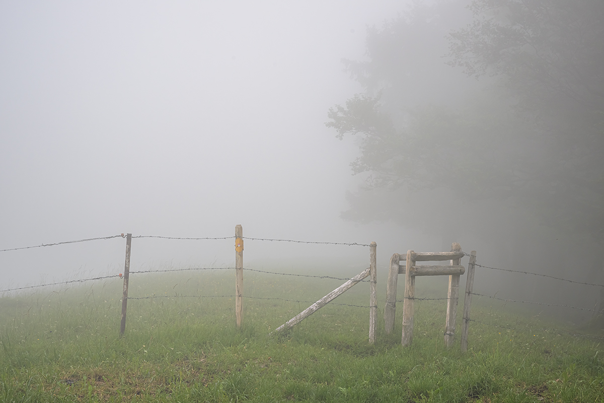 Nebel.jpg