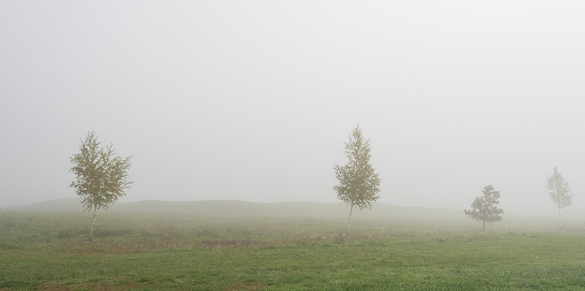Nebel.jpg