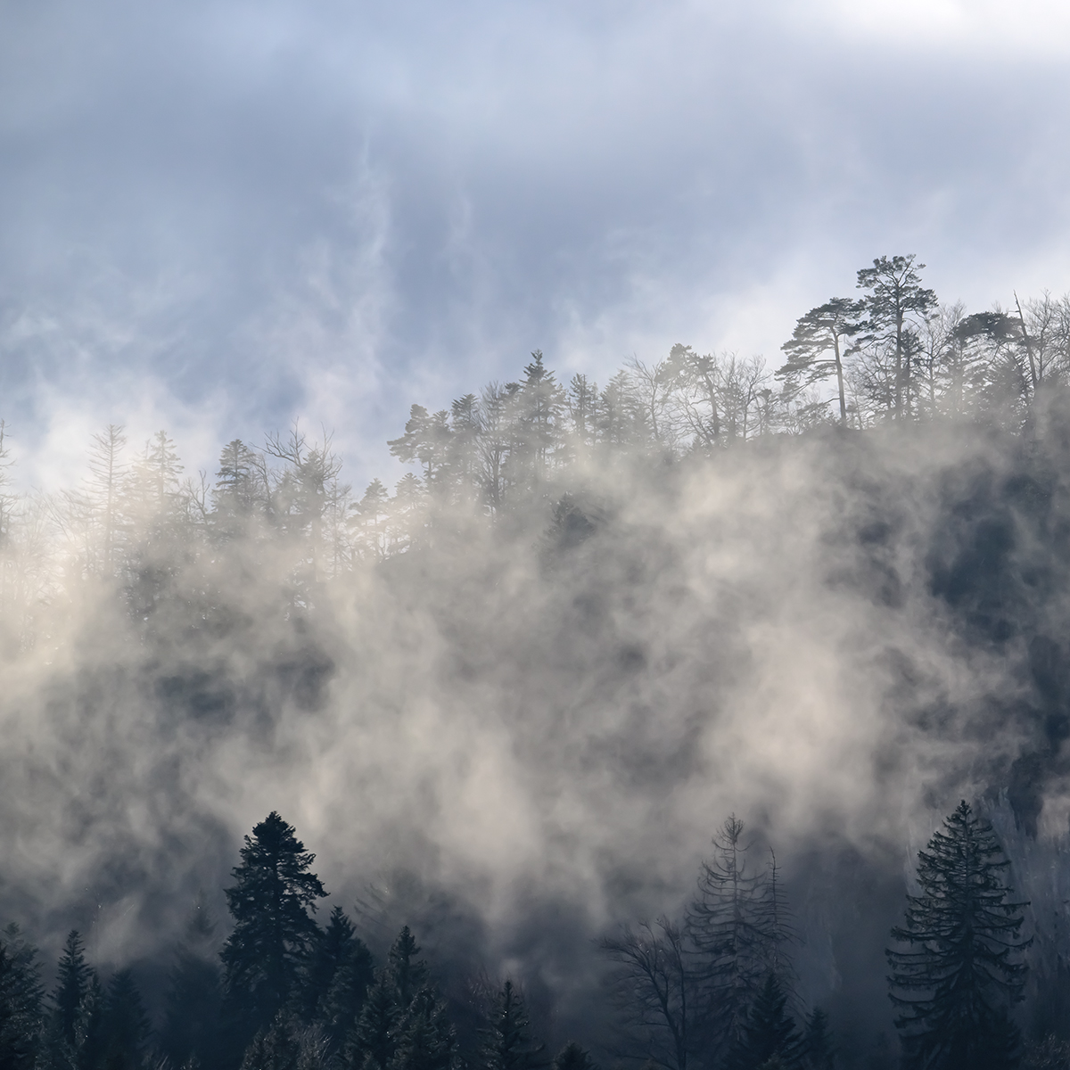 Nebel.jpg