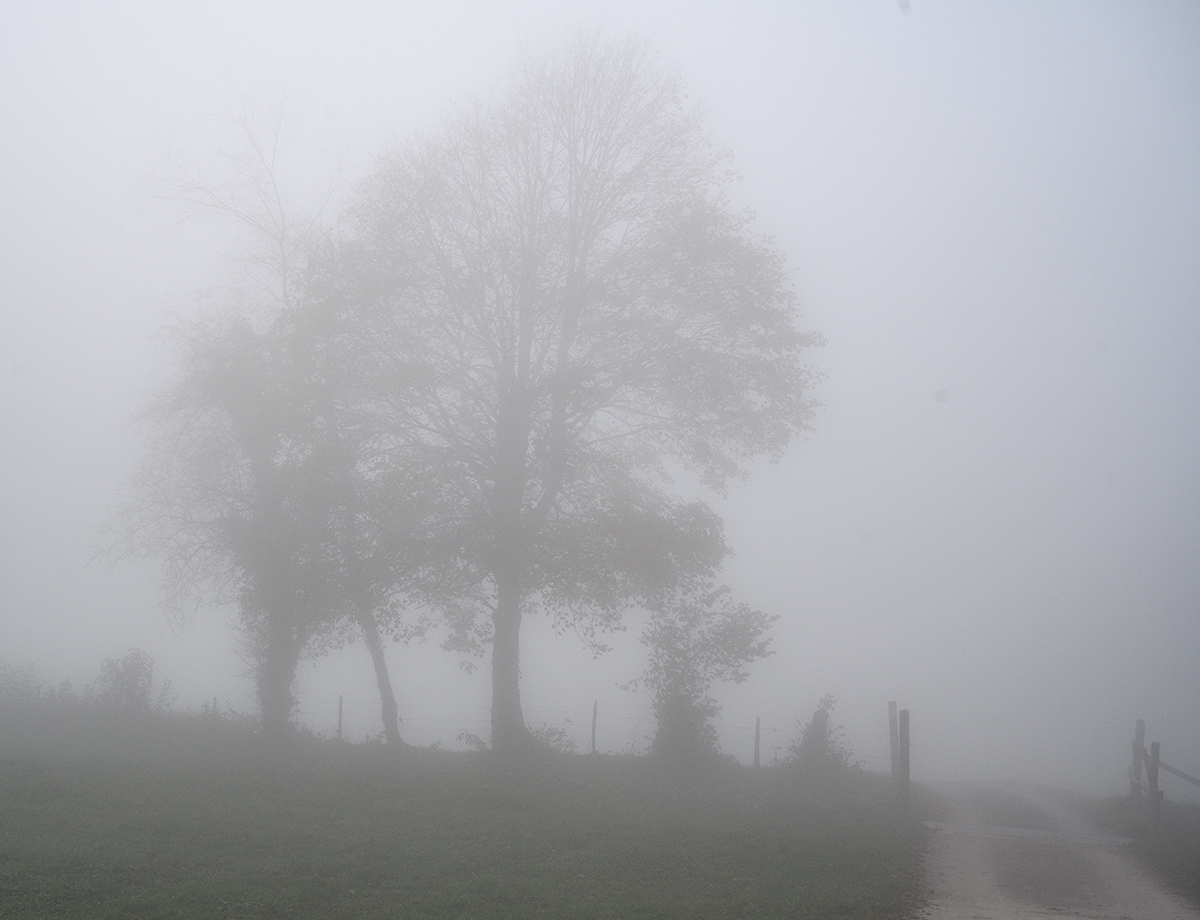 Nebel.jpg