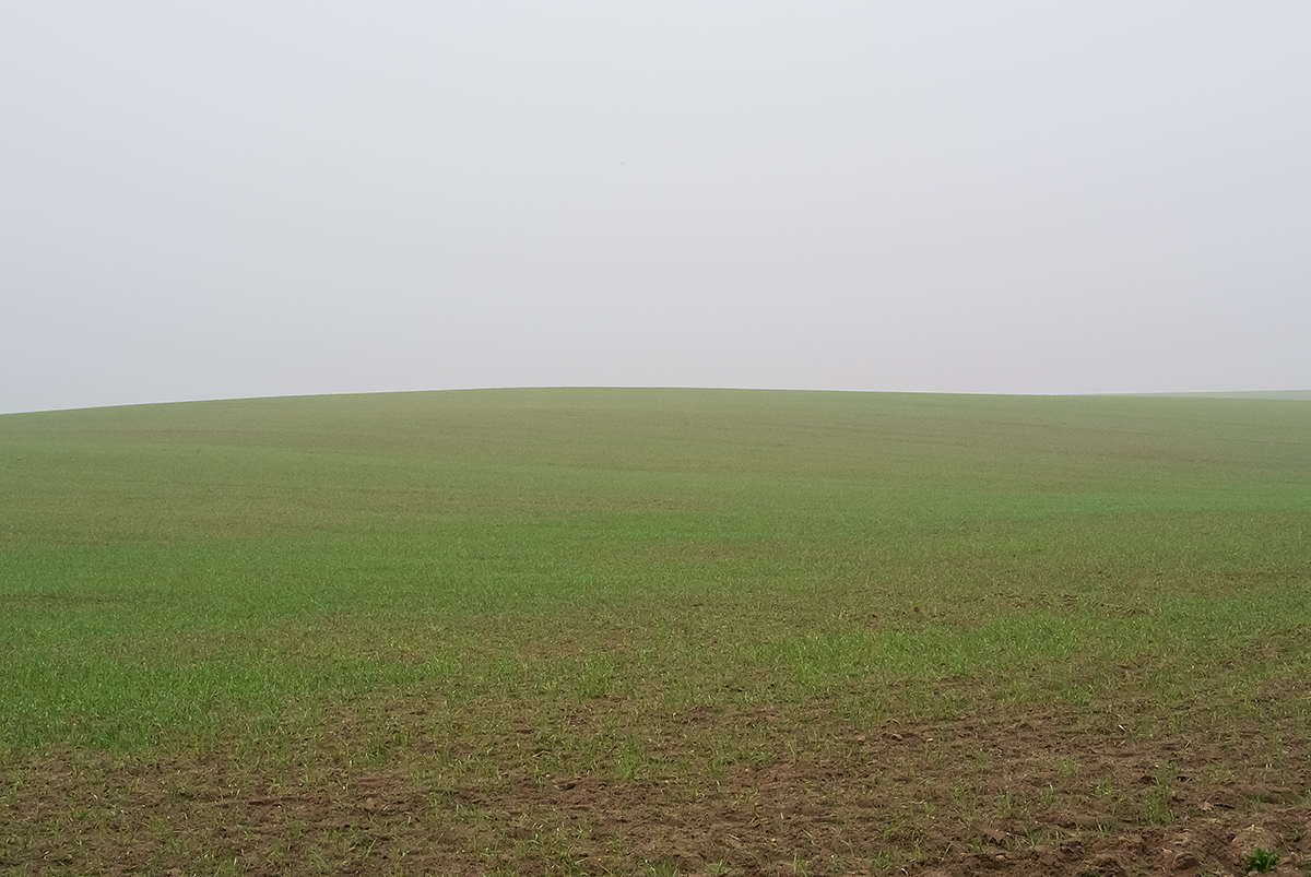 Nebel.jpg