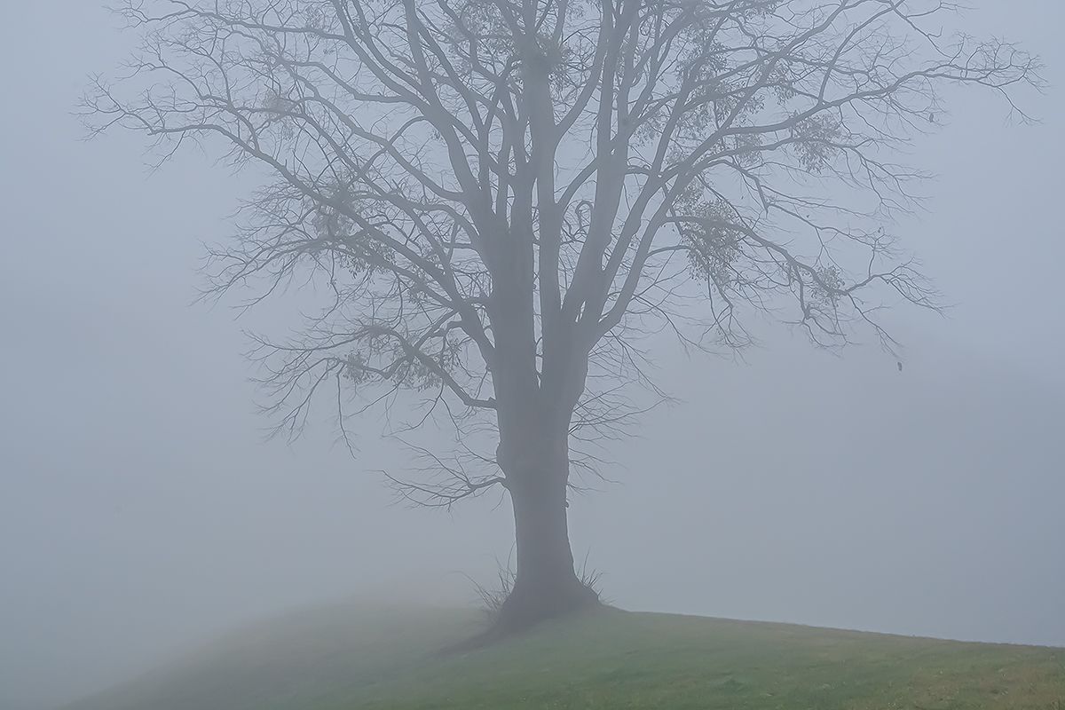 Nebel.jpg