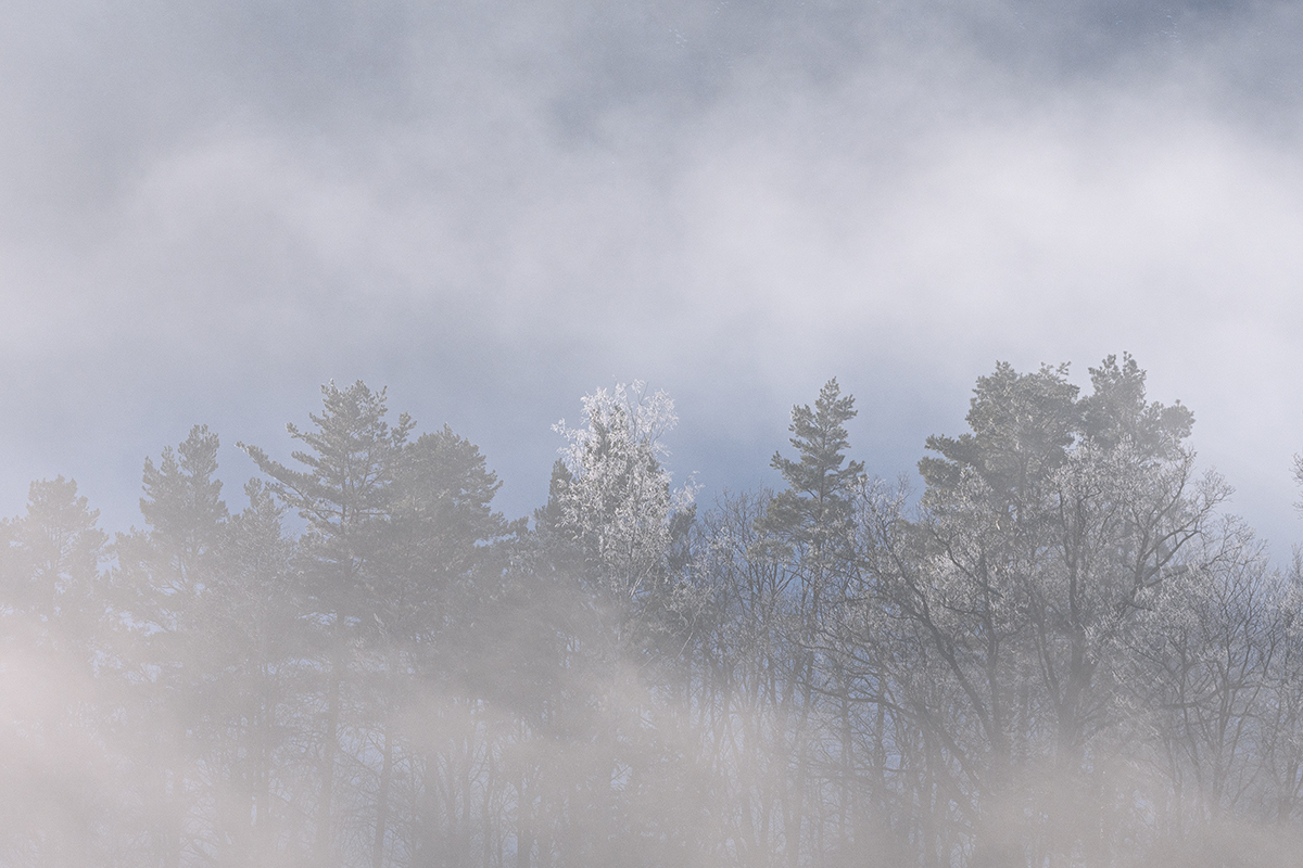 Nebel.jpg