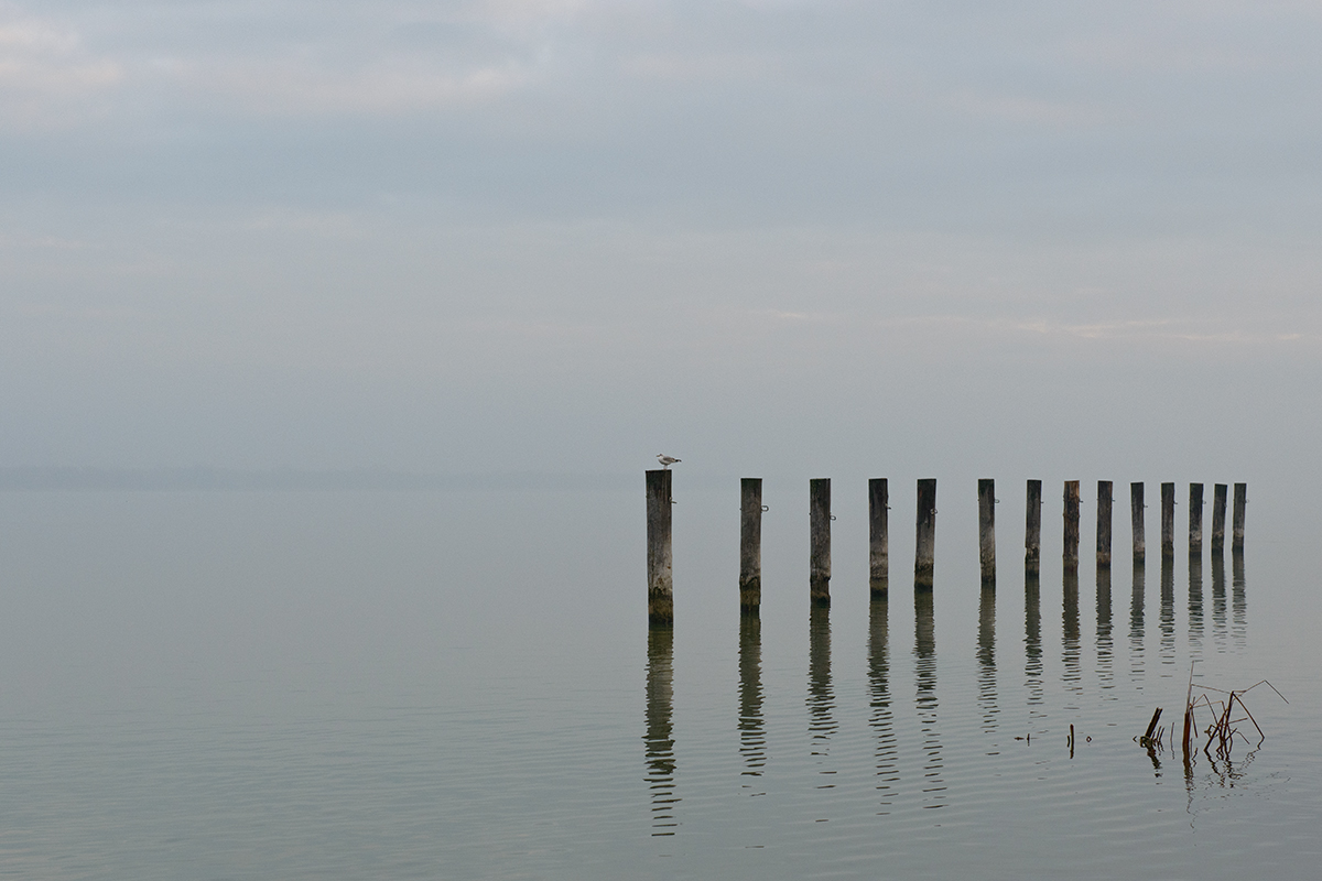 Nebel.jpg