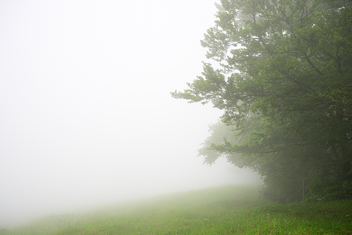 Nebel.jpg