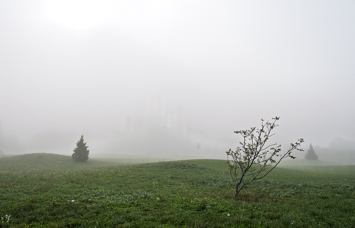 Nebel.jpg