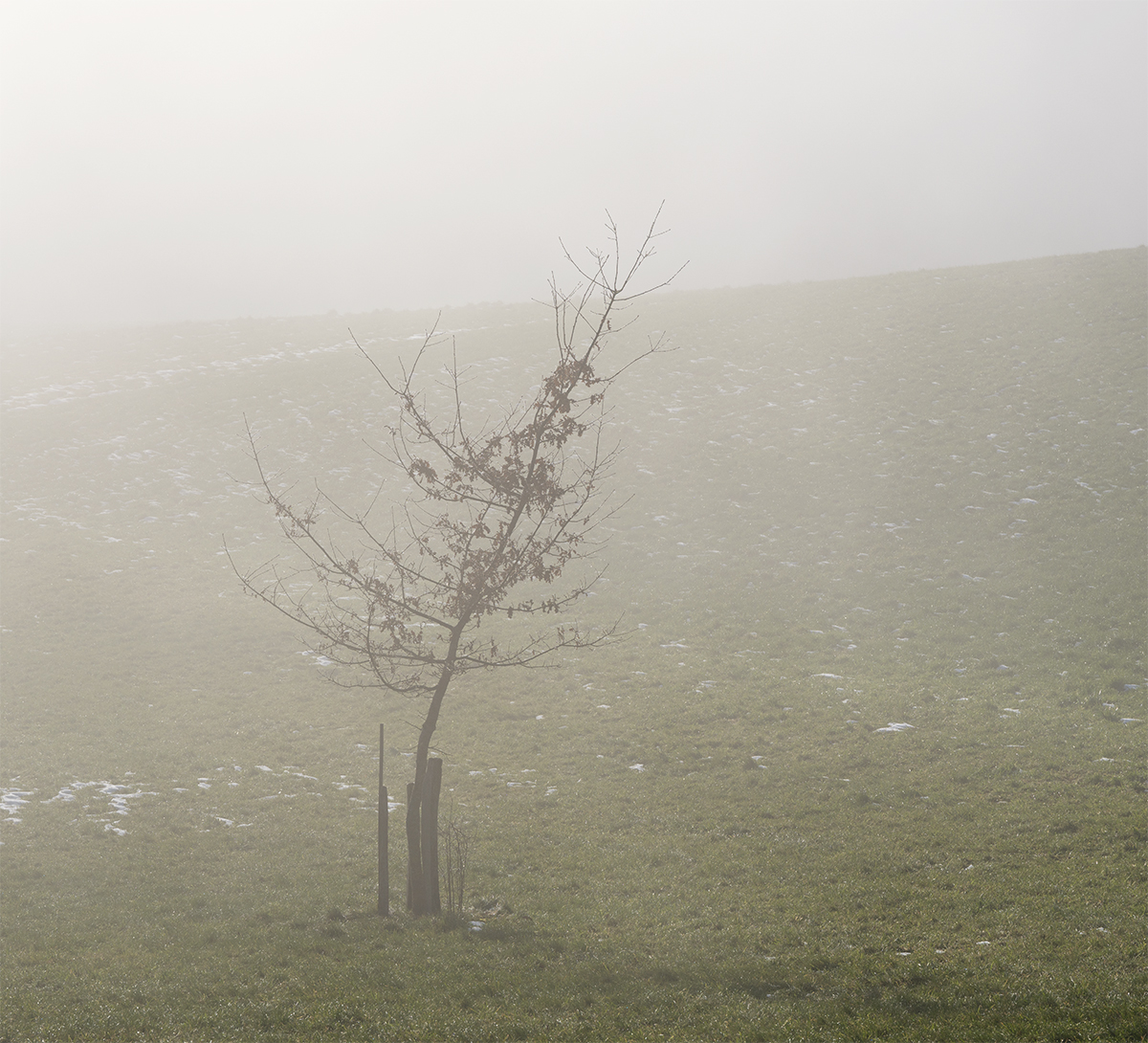 Nebel.jpg