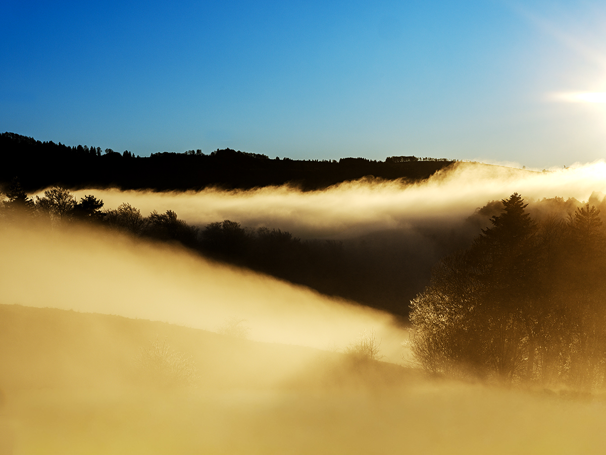 Nebel.jpg