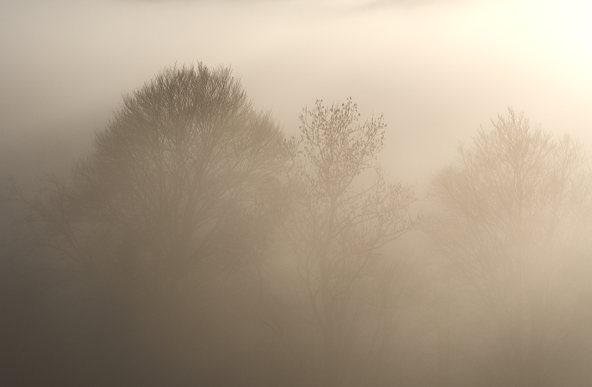 Nebel.jpg