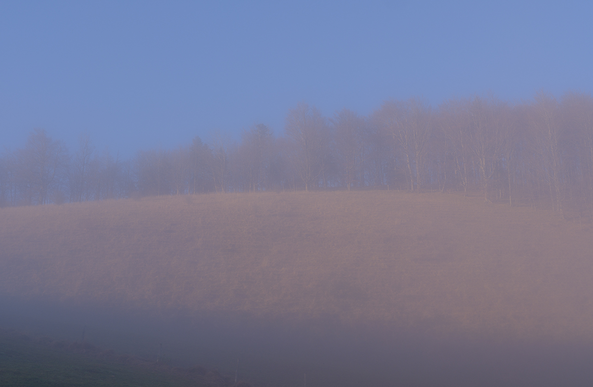Nebel.jpg