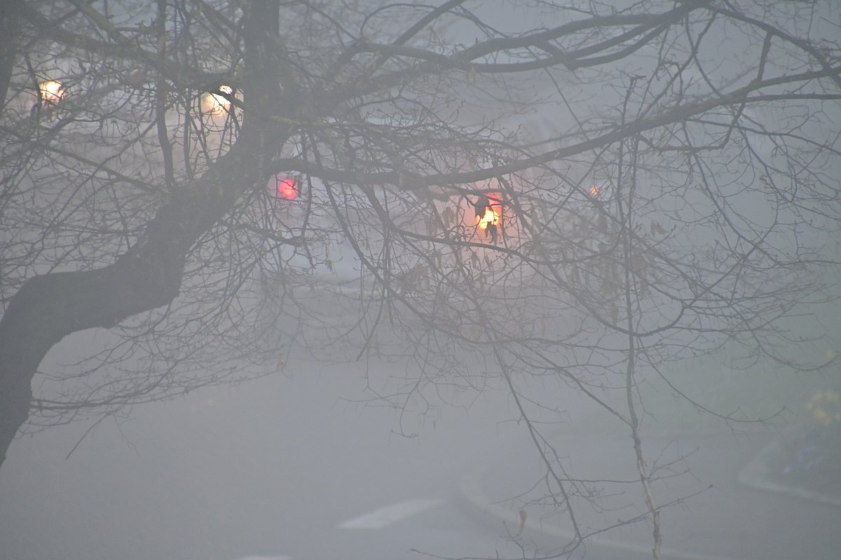 Nebel vor dem Dachfenster 2.jpg