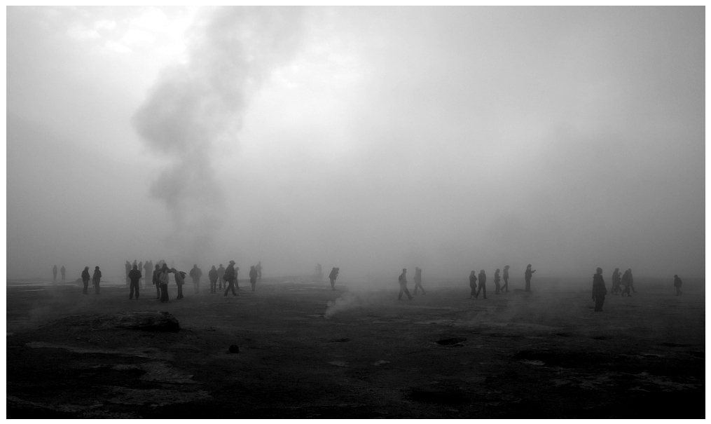 nebel web