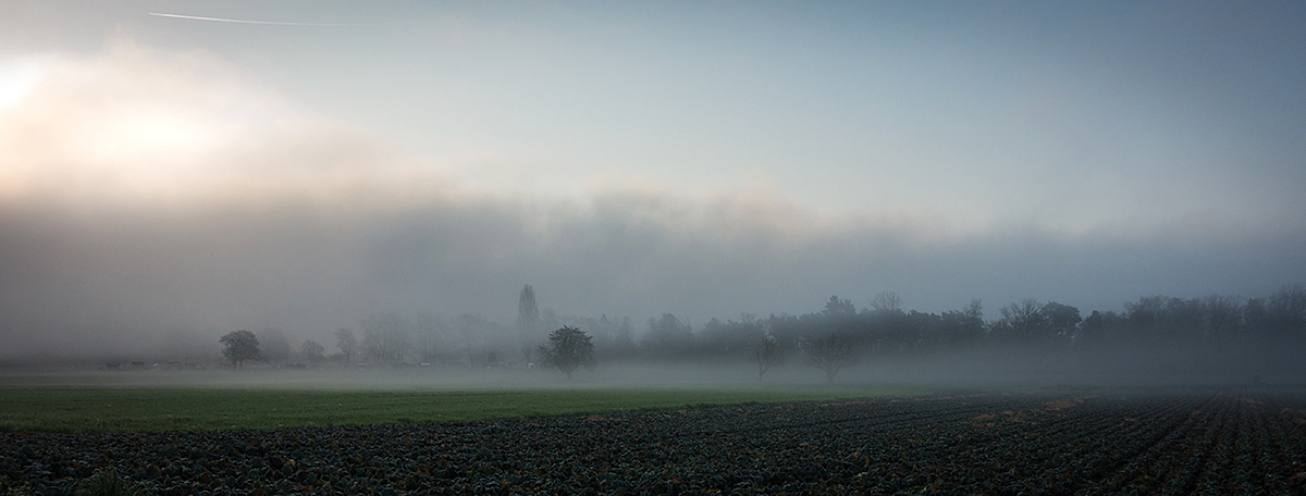 nebel