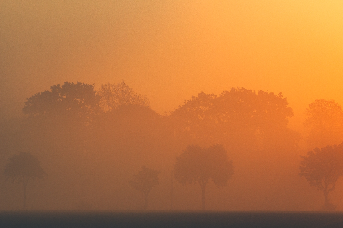 Nebel