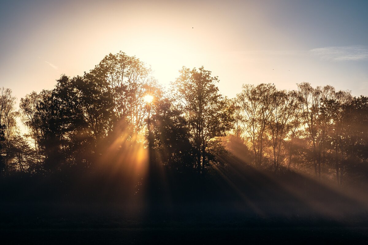 Nebel
