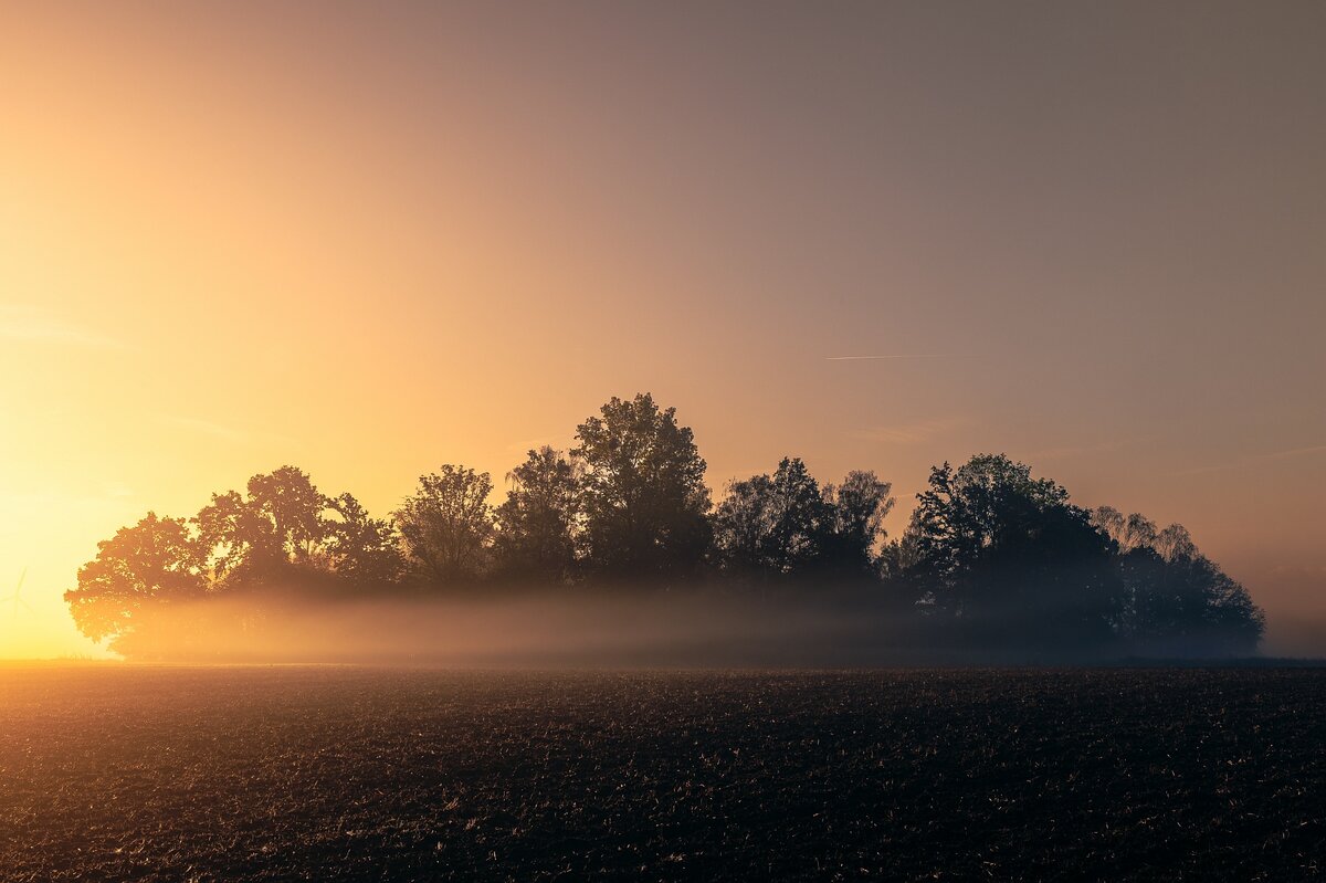 Nebel