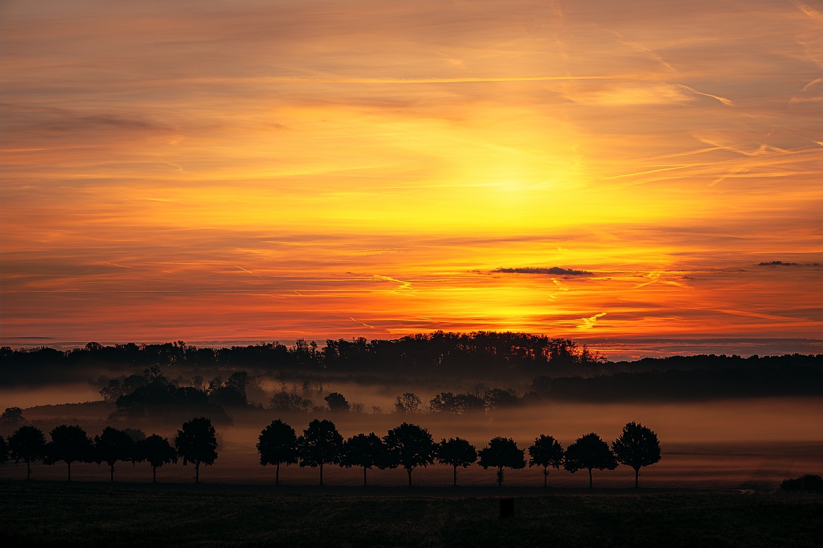 Nebel