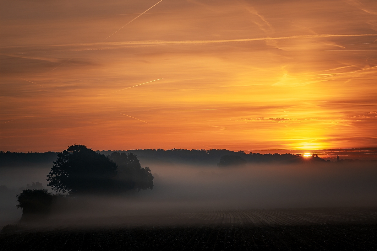 Nebel