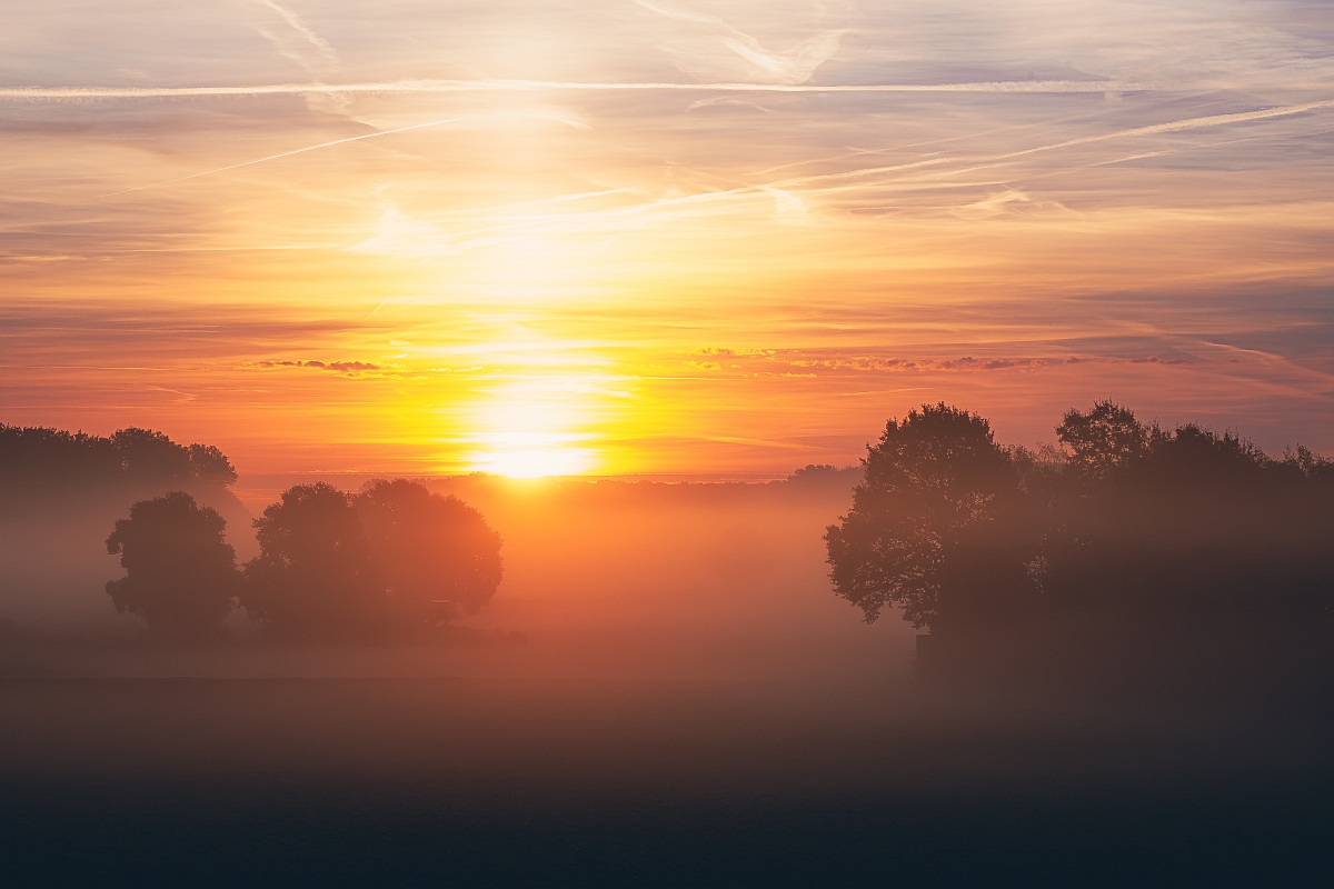 Nebel