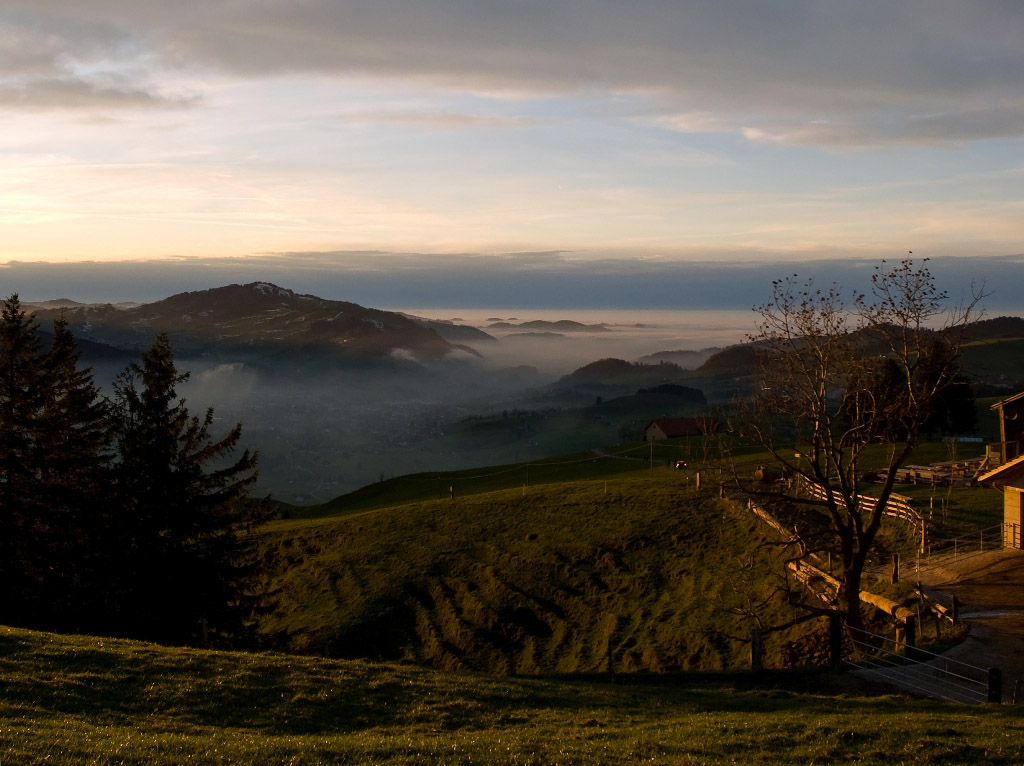 Nebel
