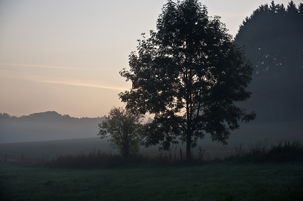 Nebel