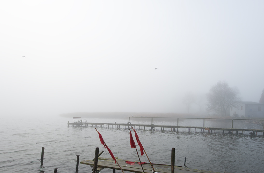 nebel1