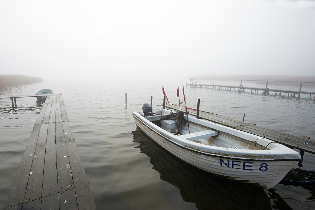 nebel2