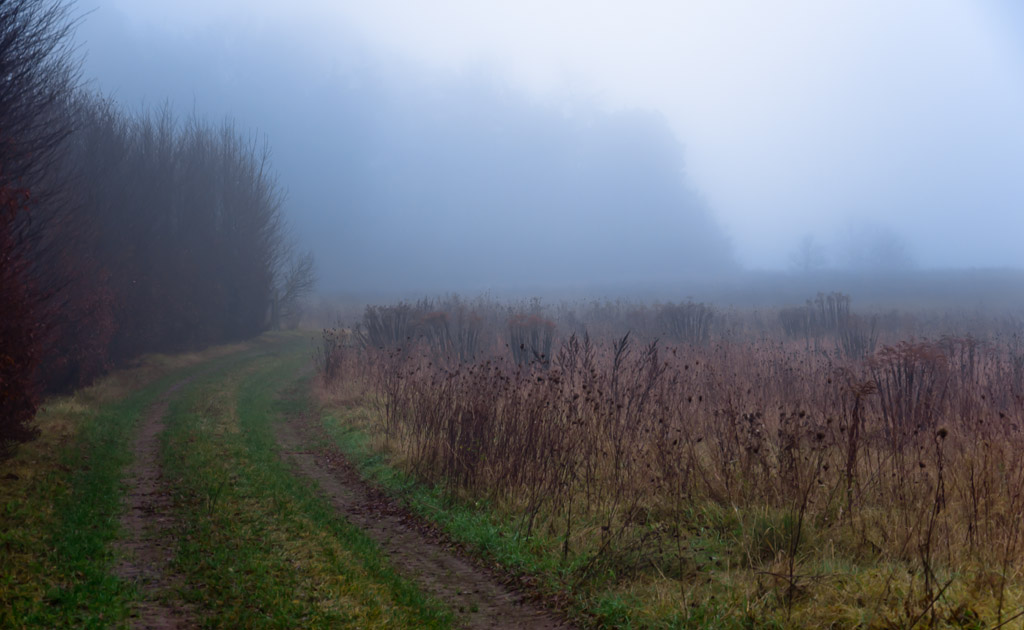 Nebel2