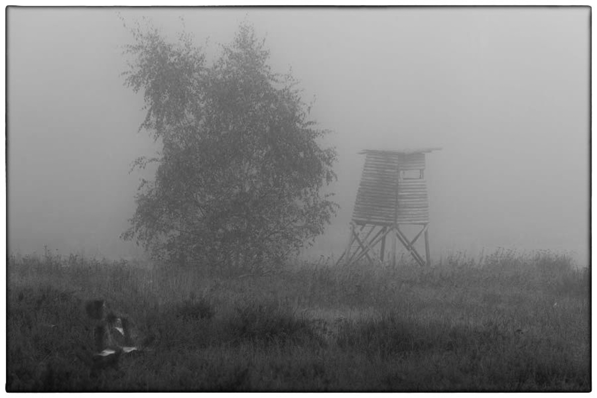 Nebelhochsitz BW (1 von 1).JPG