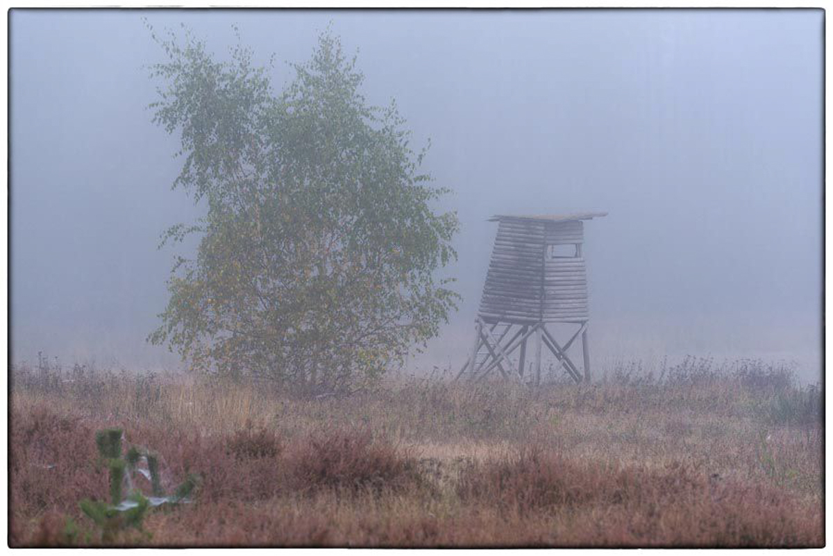 Nebelhochsitz Farbe (1 von 1).JPG