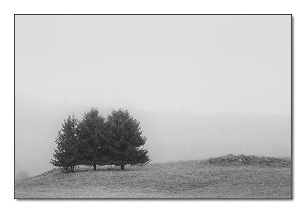 Nebellandschaft3