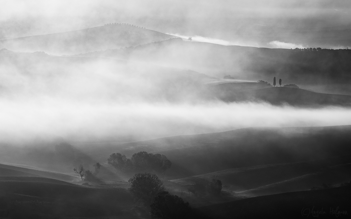 Nebelmorgen