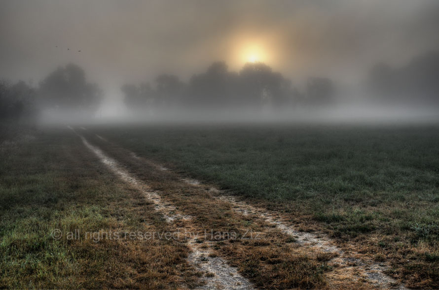 Nebelmorgen