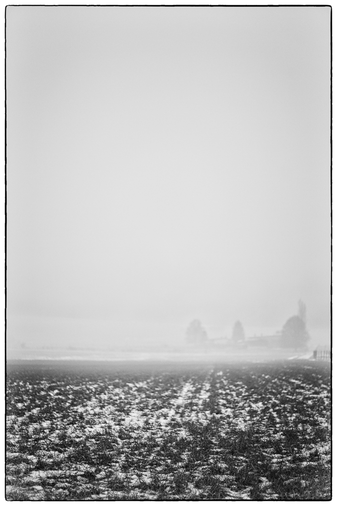 NebelPZ1 4384