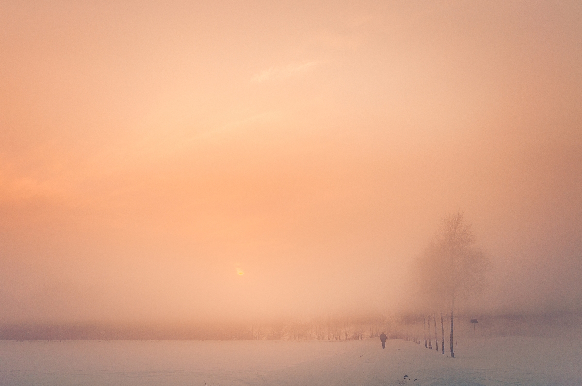 Nebelwand im Schnee
